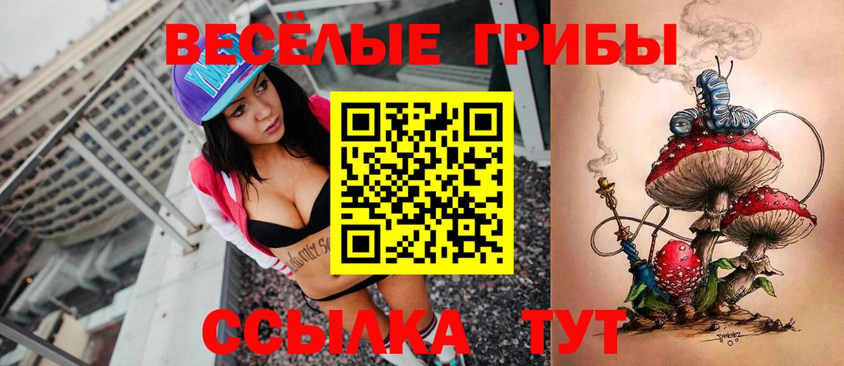 Галлюциногенные грибы ЛСД  Вход с VPN  Псилоцибиновые грибы ЛСД  Новороссийск 