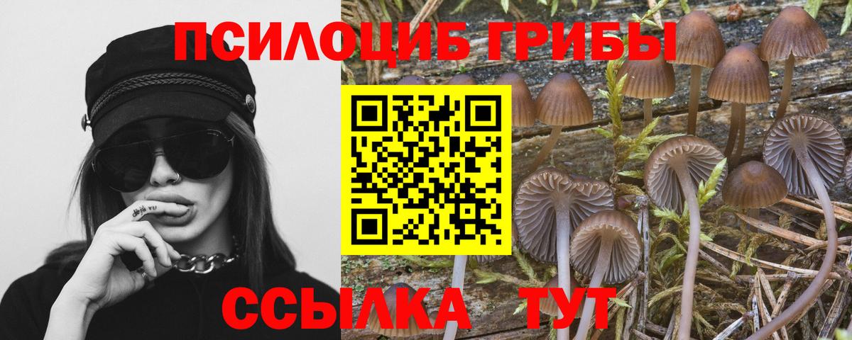 Псилоцибиновые грибы Новороссийск