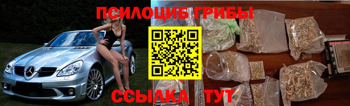 Галлюциногенные грибы GOLDEN TEACHER Новороссийск